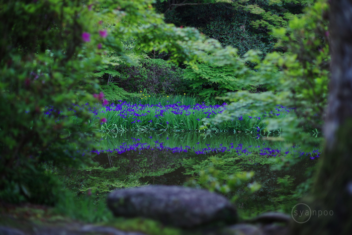 ペンタックス smc PENTAX-FA 50mmF1.4 Classic & HD PENTAX-FA 50mmF1